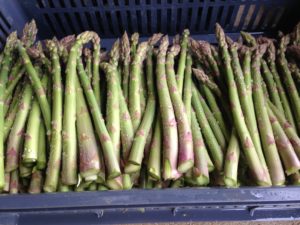 Asperge verte vente Aube, Marne, Seine et Marne, la ferme du perré
