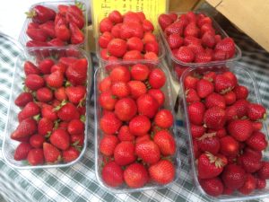 Les marchés en Vente de fraise Provins, Bray sur seine, Romilly sur Seine, Bussy St Georges