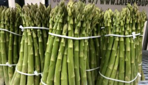Asperge verte, la ferme du Perré, Esclavolles Lurey, Marne, 51, Aube, 10