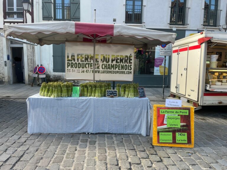 Asperge verte, marché de Provins en Seine et Marne