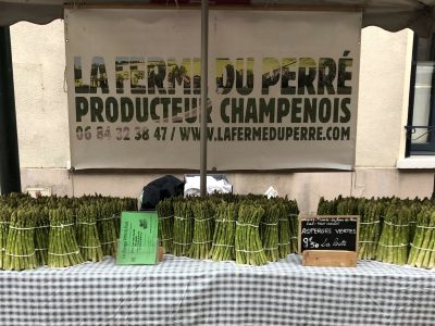 La Ferme du Perré, producteur asperges vertes, Escalavolles, Marne, 51, Aube, 10