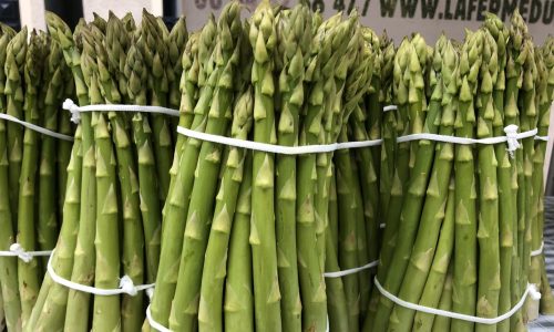 Asperge verte, la ferme du Perré, Esclavolles Lurey, Marne, 51, Aube, 10